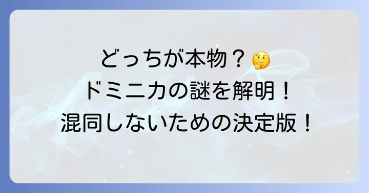 混同しやすい！ドミニカ共和国とドミニカ国の違い