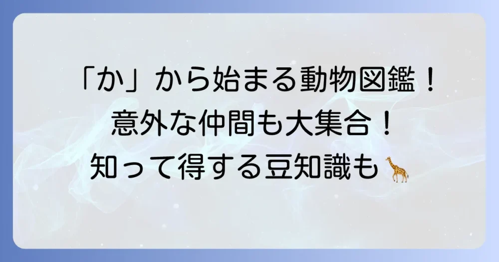 「か」から始まる動物を徹底網羅！意外な生き物から人気者までを紹介