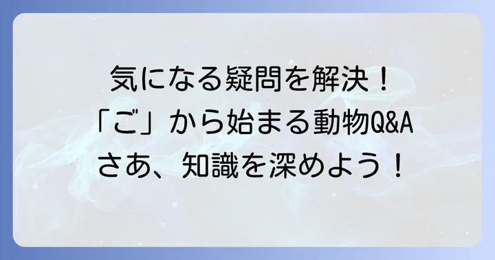 よくある質問