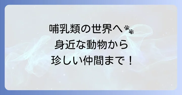 哺乳類編：身近な動物から珍しい動物まで