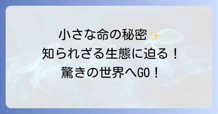 爬虫類・両生類・昆虫編：小さな命の不思議