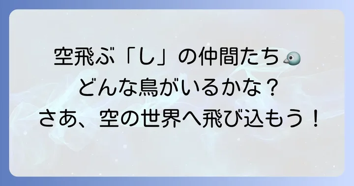 「し」から始まる鳥類たち