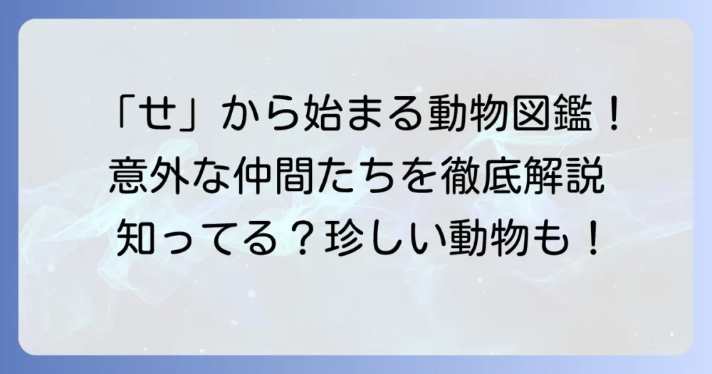 「せ」から始まる動物を徹底解説！意外な種類から人気者まで網羅