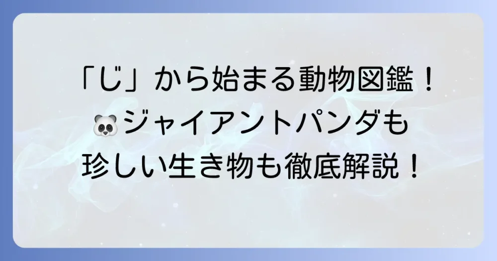 「じ」から始まる動物の名前を徹底解説！珍しい種類から人気者まで