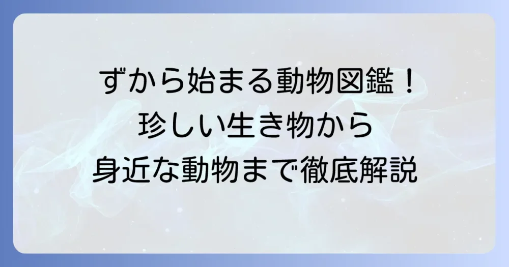 「ず」から始まる動物を徹底解説！珍しい生き物から身近な動物まで