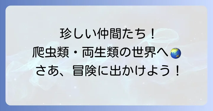 ユニークな「と」から始まる爬虫類・両生類
