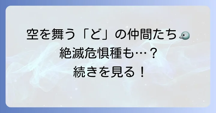 鳥類編：空を舞う「ど」の仲間