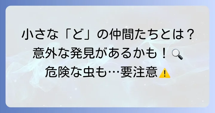 昆虫・その他編：小さな「ど」の発見