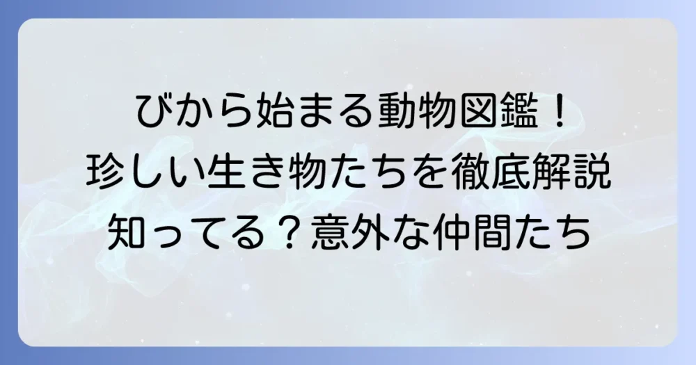 「び」から始まる動物の名前を徹底解説！珍しい生き物から海の仲間まで
