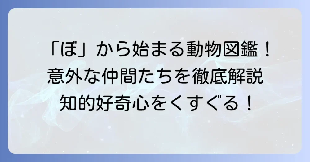 「ぼ」から始まる動物の名前を徹底解説！意外な生き物から人気者まで網羅