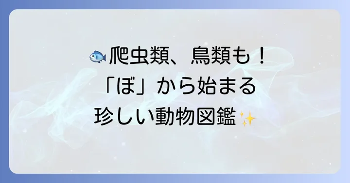 「ぼ」から始まる動物たち：魚類・爬虫類・鳥類・その他編