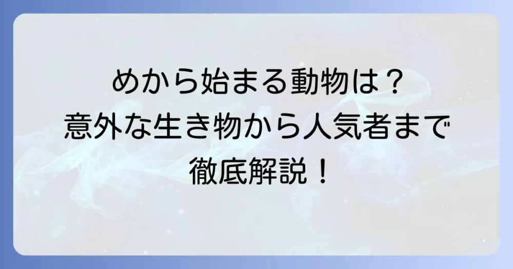 「め」から始まる動物を徹底解説!意外な生き物から人気者まで網羅