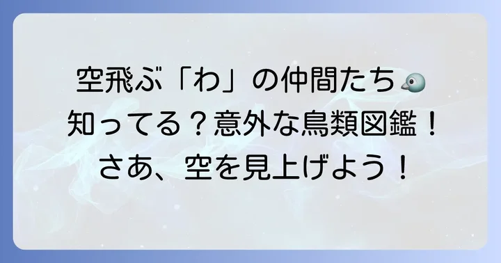 「わ」から始まる鳥類たち