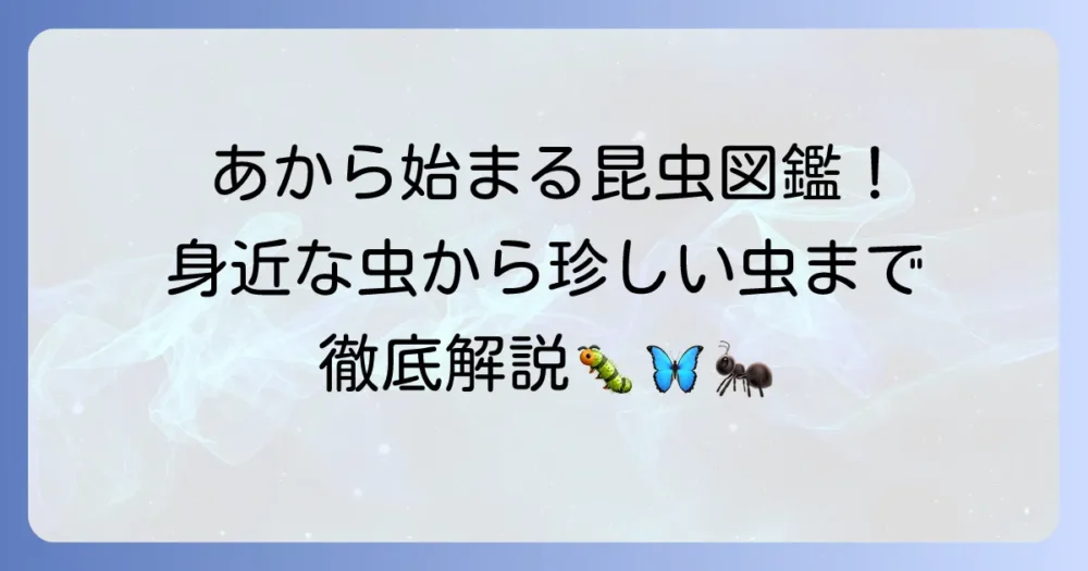 「あ」から始まる昆虫を徹底解説！身近な虫から珍しい虫まで