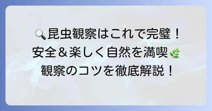 昆虫観察を楽しむためのコツと注意点