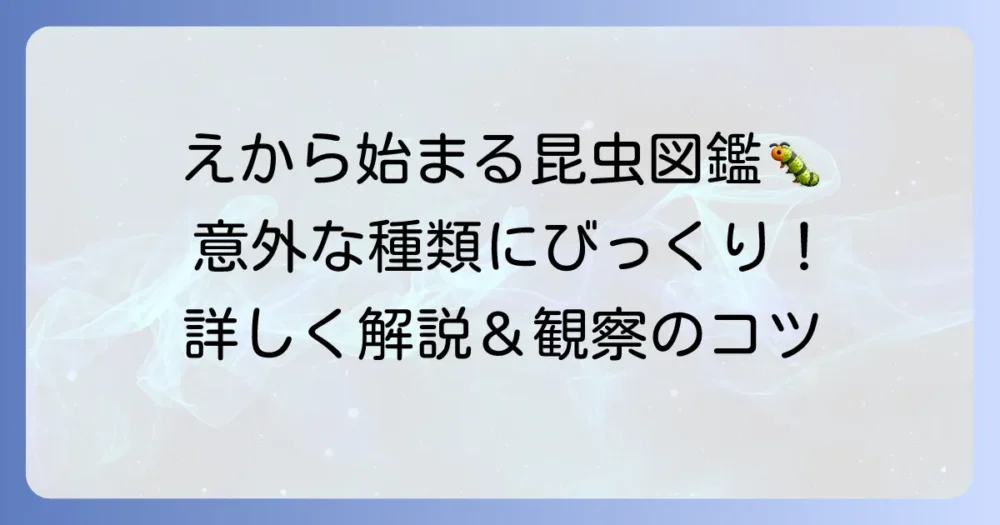 「え」から始まる昆虫の名前を徹底解説！意外な種類もご紹介