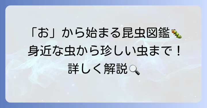 「お」から始まる昆虫たち：身近な種類から珍しい種類まで