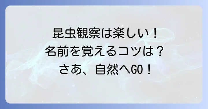 昆虫の名前を覚えるコツと観察の楽しみ方
