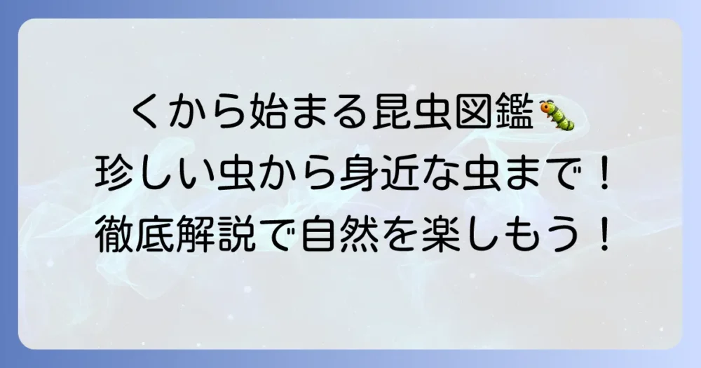 「く」から始まる昆虫を徹底解説！珍しい虫から身近な虫まで一挙紹介