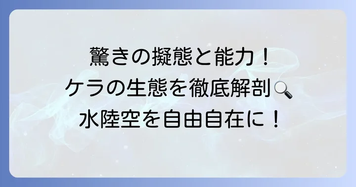 「け」から始まる昆虫の代表格！ケラ（オケラ）の驚くべき生態