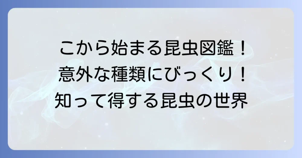 「こ」から始まる昆虫の名前を徹底解説！意外な種類から人気者までご紹介