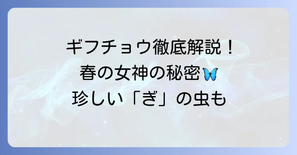 「ぎ」から始まる昆虫を徹底解説！春の女神ギフチョウから珍しい虫まで