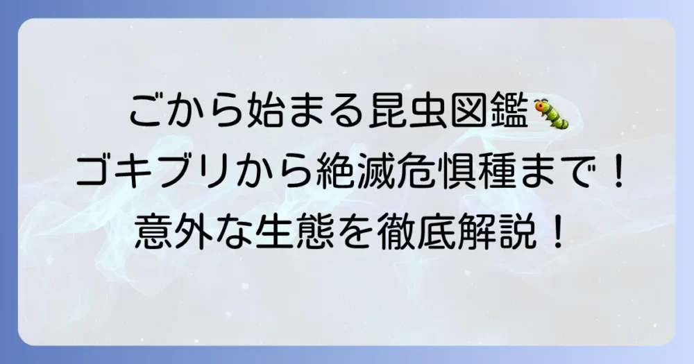 「ご」から始まる昆虫を網羅！特徴と生態を深掘り