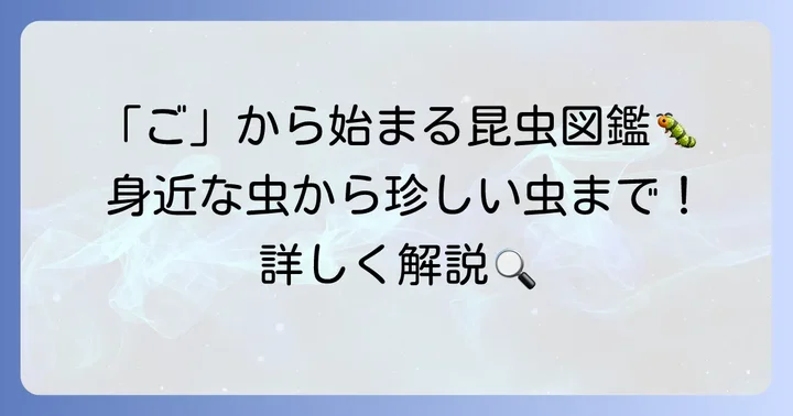「ご」から始まる昆虫たち：身近な種類から珍しい虫まで