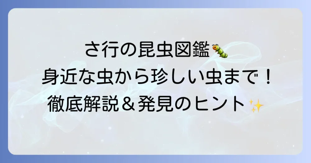 「さ」から始まる昆虫を徹底解説！身近な種類から珍しい虫までご紹介
