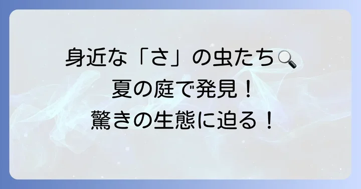 身近でよく見かける「さ」から始まる昆虫たち