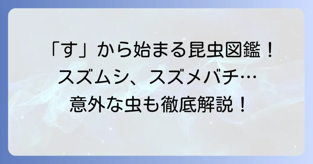 「す」から始まる昆虫を徹底解説！身近な虫から珍しい虫まで