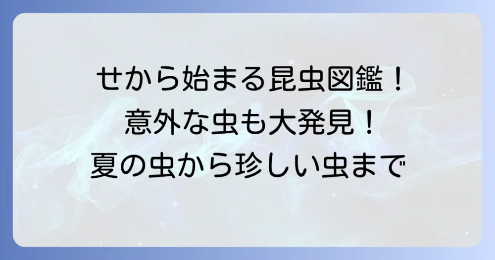 「せ」から始まる昆虫を徹底解説！意外な種類から身近な虫まで網羅