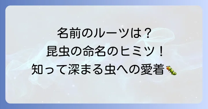 昆虫の名前の由来や命名方法