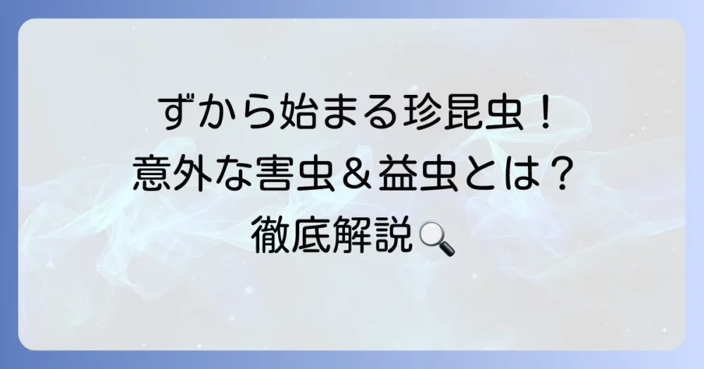 「ず」から始まる昆虫を徹底解説！珍しい虫から害虫対策まで