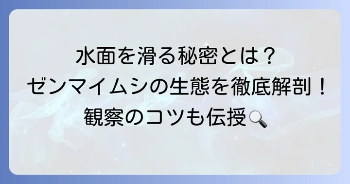 ゼンマイムシの知られざる魅力と観察のコツ