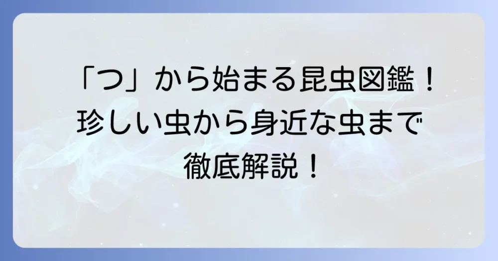 「つ」から始まる昆虫を徹底解説！珍しい種類から身近な虫まで網羅