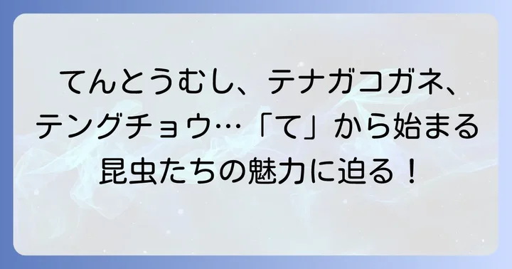 「て」から始まる代表的な昆虫たち