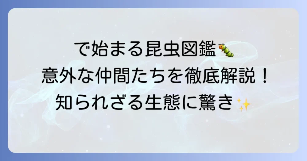 「で」から始まる昆虫を網羅！意外な生態と特徴を徹底解説