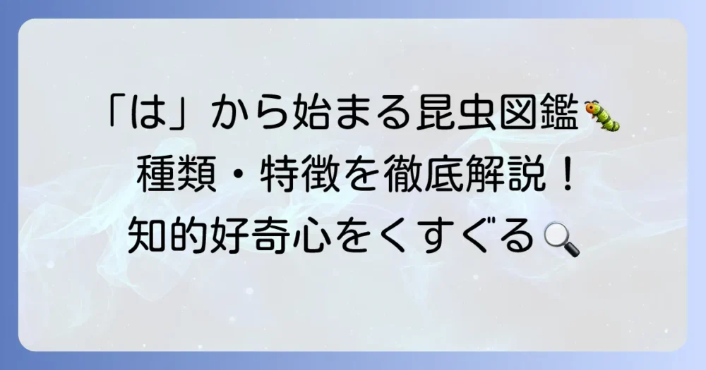 「は」から始まる昆虫を徹底解説！種類や特徴、生態まで網羅
