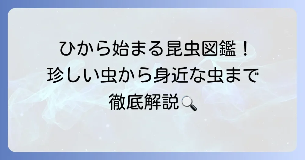 「ひ」から始まる昆虫の名前を徹底解説！珍しい種類から身近な虫まで網羅