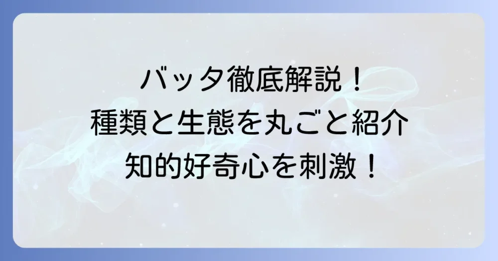 「ば」から始まる昆虫を徹底解説！バッタの種類や生態もご紹介