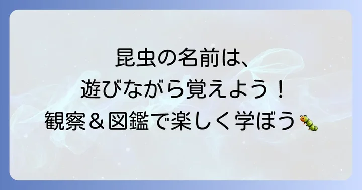 昆虫の名前を楽しく覚えるコツ