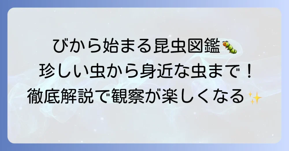 「び」から始まる昆虫を徹底解説！珍しい種類から身近な虫まで