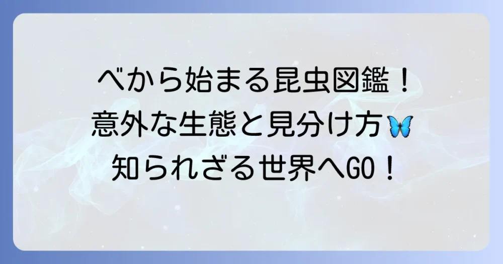 「べ」から始まる昆虫を徹底解説！意外な生態と見分け方