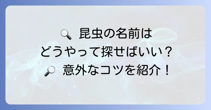 昆虫の名前を探すコツ