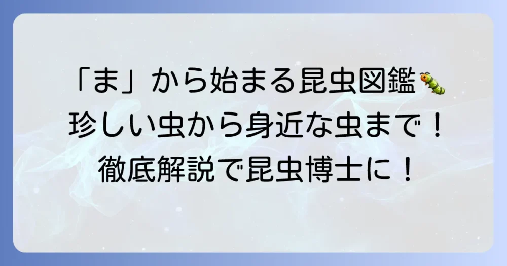 「ま」から始まる昆虫を徹底解説！珍しい種類から身近な虫まで一挙紹介