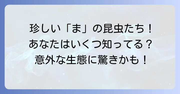 ちょっと珍しい？「ま」から始まる昆虫たち