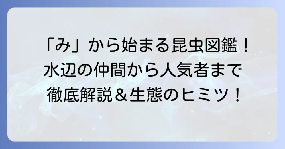 「み」から始まる昆虫を徹底解説！水辺の仲間から人気の虫まで、その特徴を紹介
