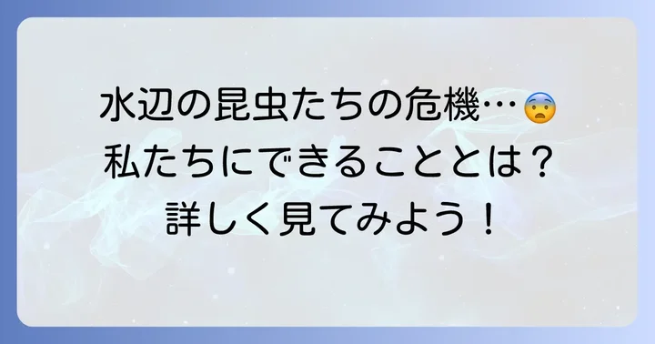 水辺の「み」の昆虫が直面する環境問題
