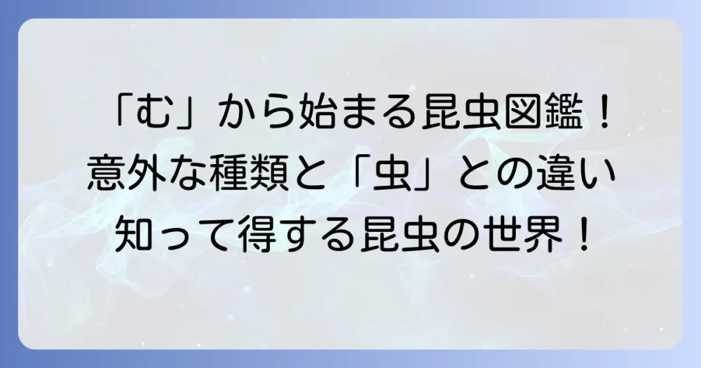 「む」から始まる昆虫を徹底解説！意外な種類から「虫」と「昆虫」の違いまで